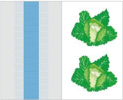Отсутствие миграции при использовании Aquence 7800 серии